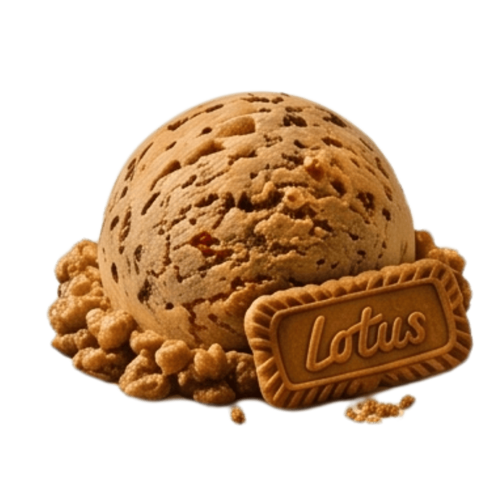 Lotus Bisküvili Dondurma dondurması